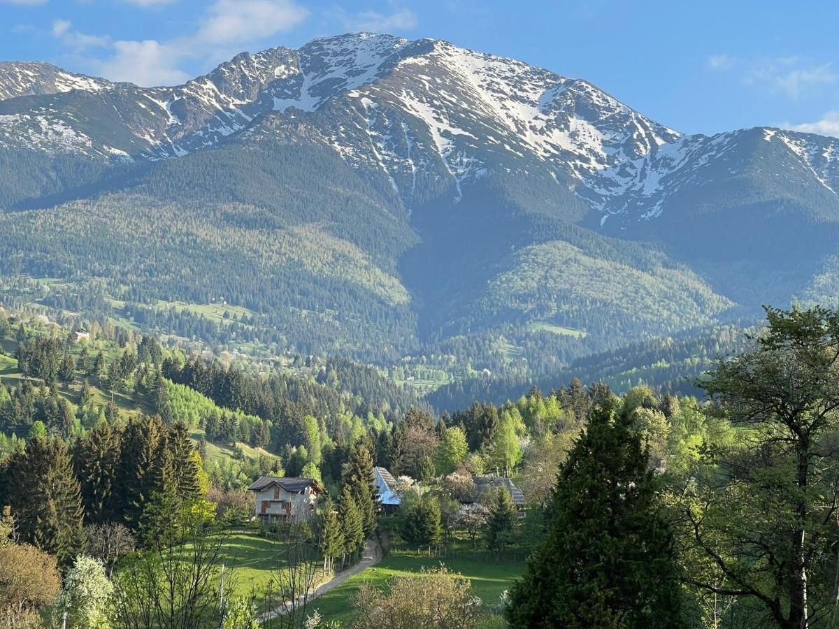 La Bujda Lu Mosu Villa Borsa  Luaran gambar