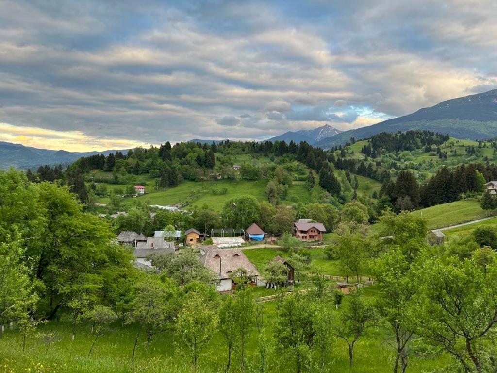 La Bujda Lu Mosu Villa Borsa  Luaran gambar