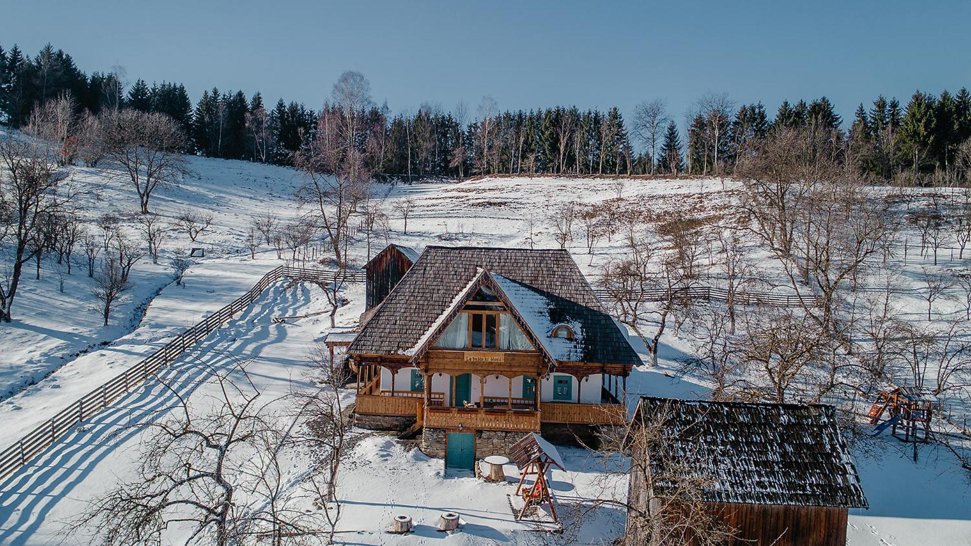 La Bujda Lu Mosu Villa Borsa  Luaran gambar